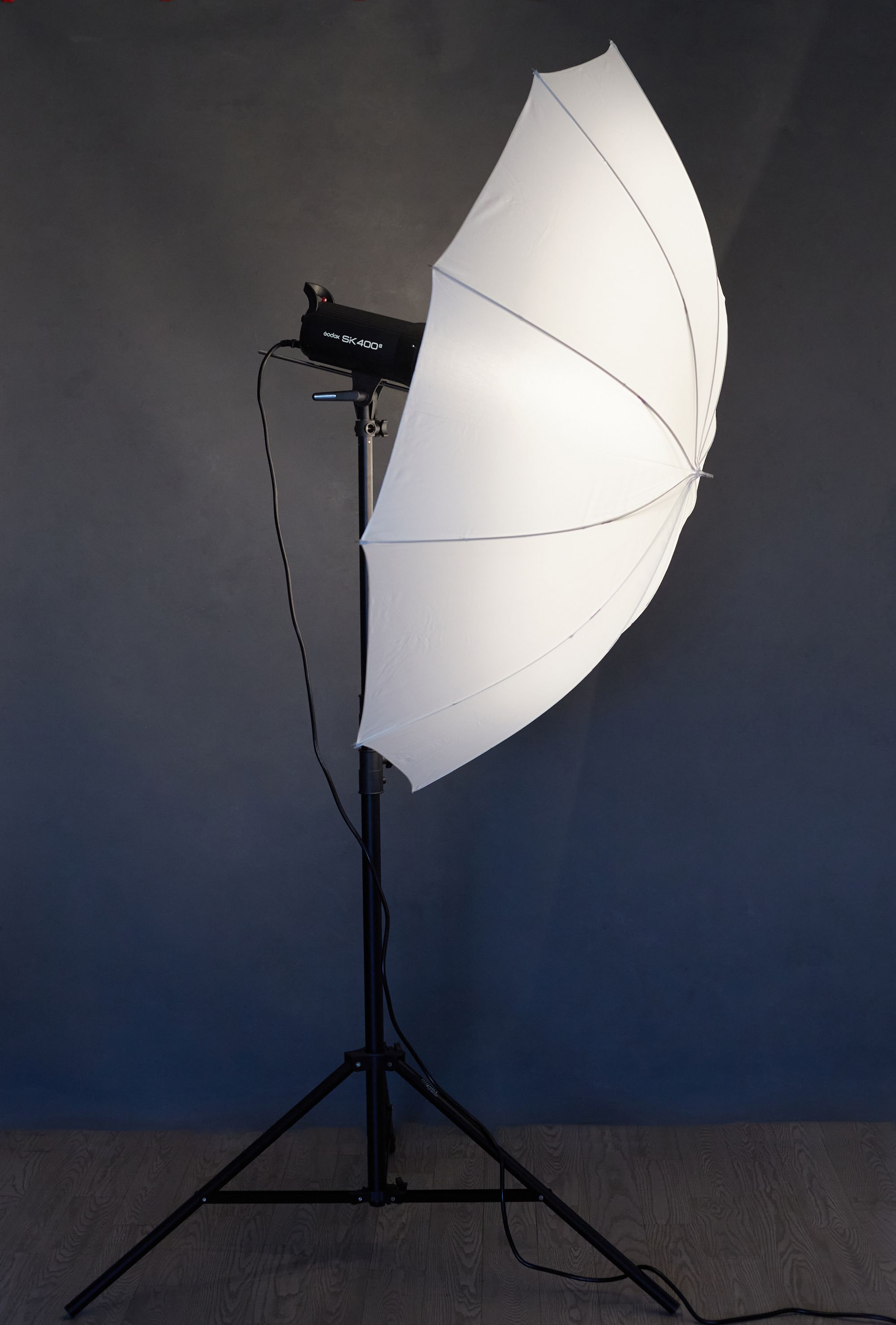 A Review Of The Photek Softlighter II Umbrella