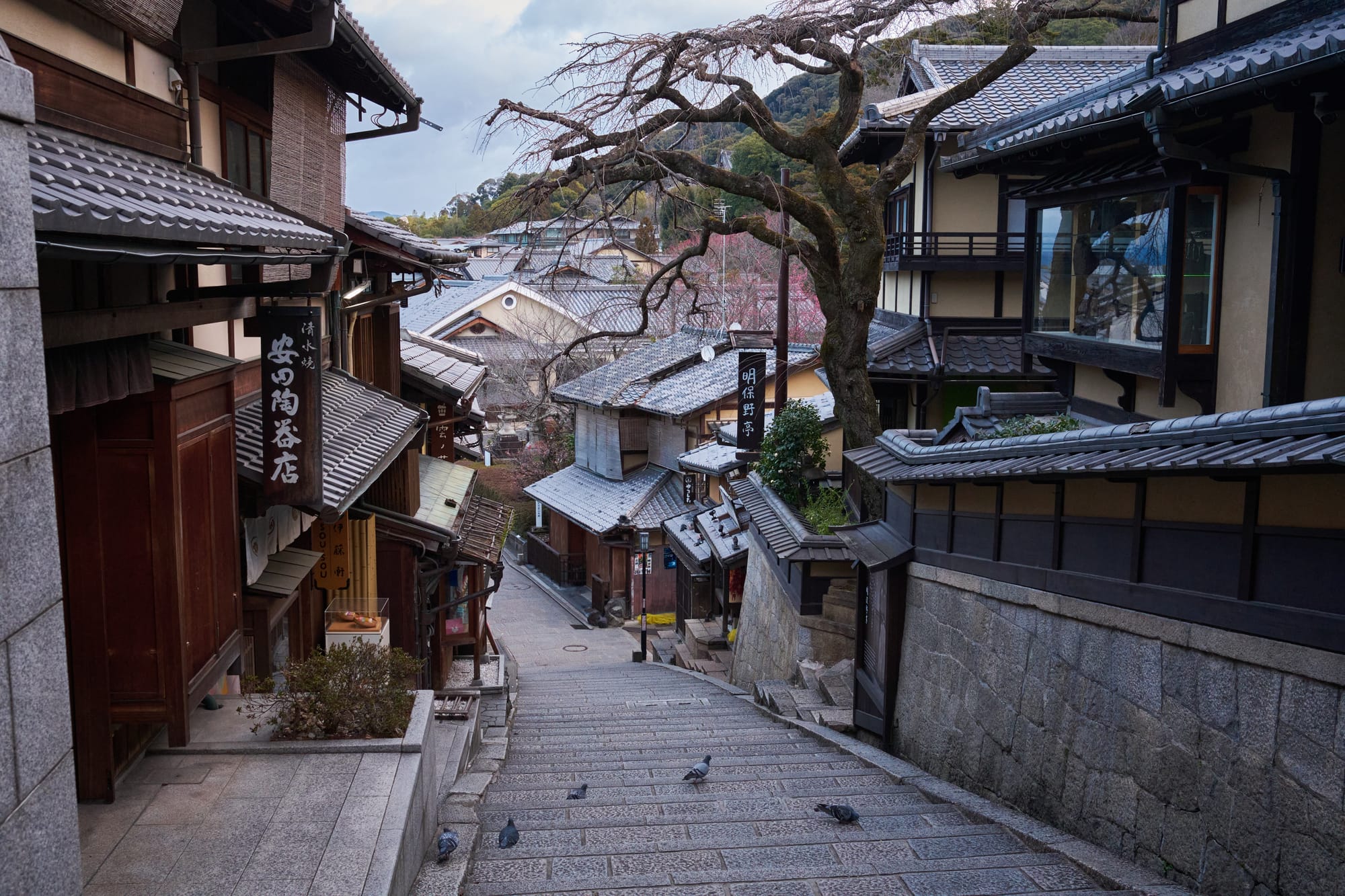 Visiting Kyoto, Japan - Tourist Travel Guide & Things To Do