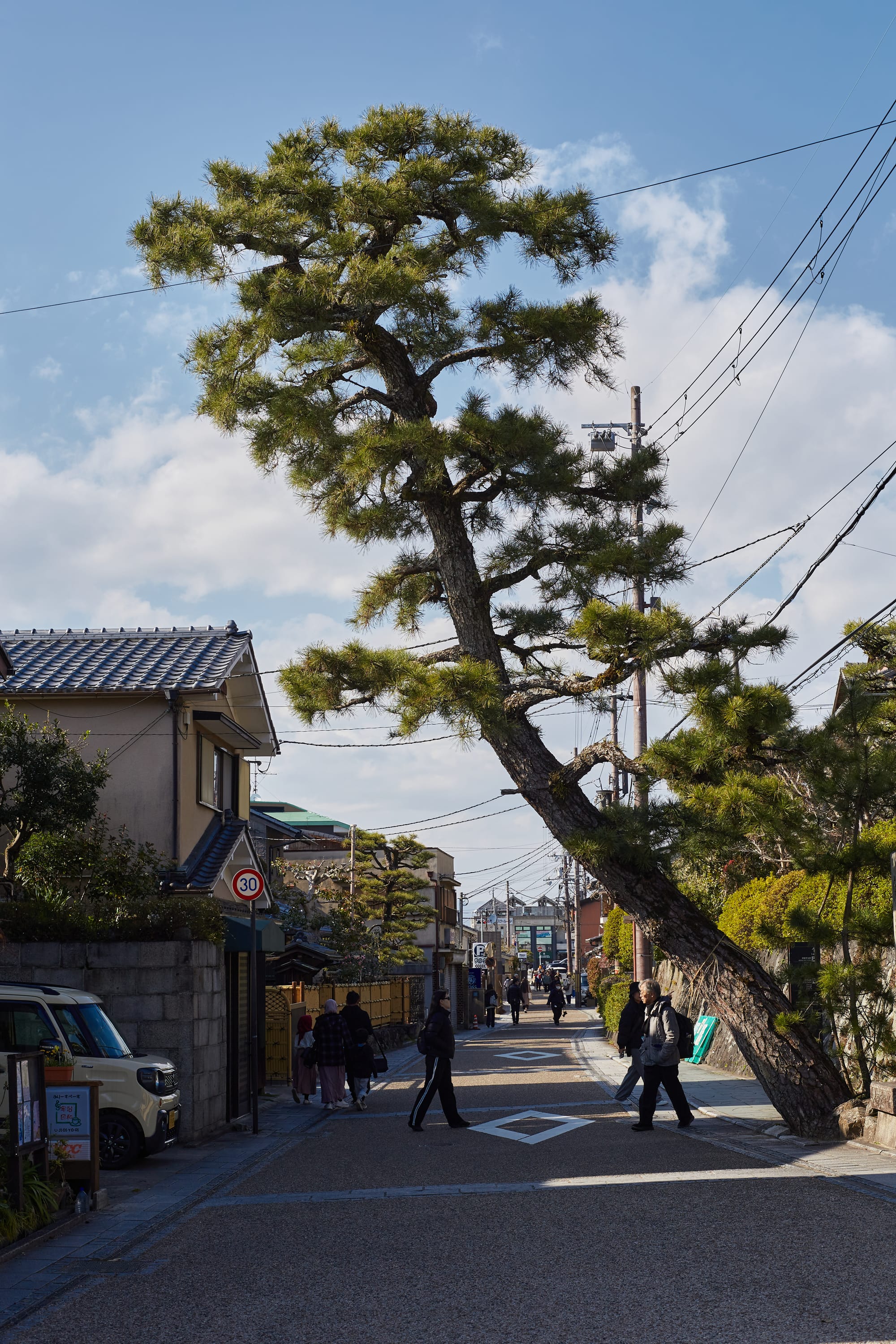 Visiting Uji & Nara, Japan - Travel Guide And Things To Do