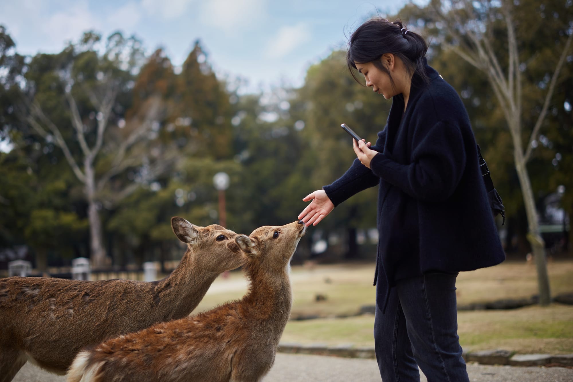 Visiting Uji & Nara, Japan - Travel Guide And Things To Do