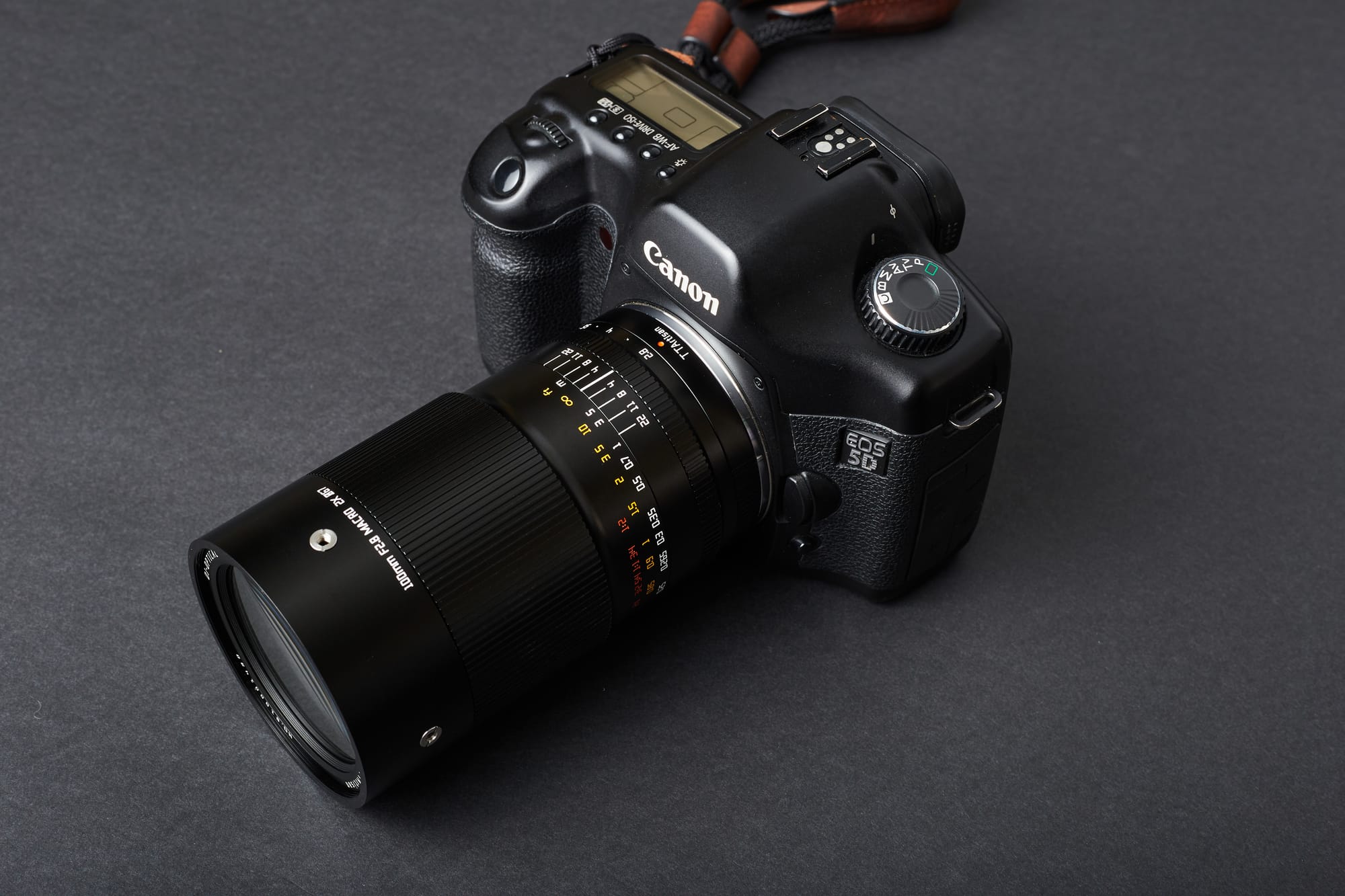 A Review Of The TTArtisan 100mm f/2.8 Macro 2X Lens