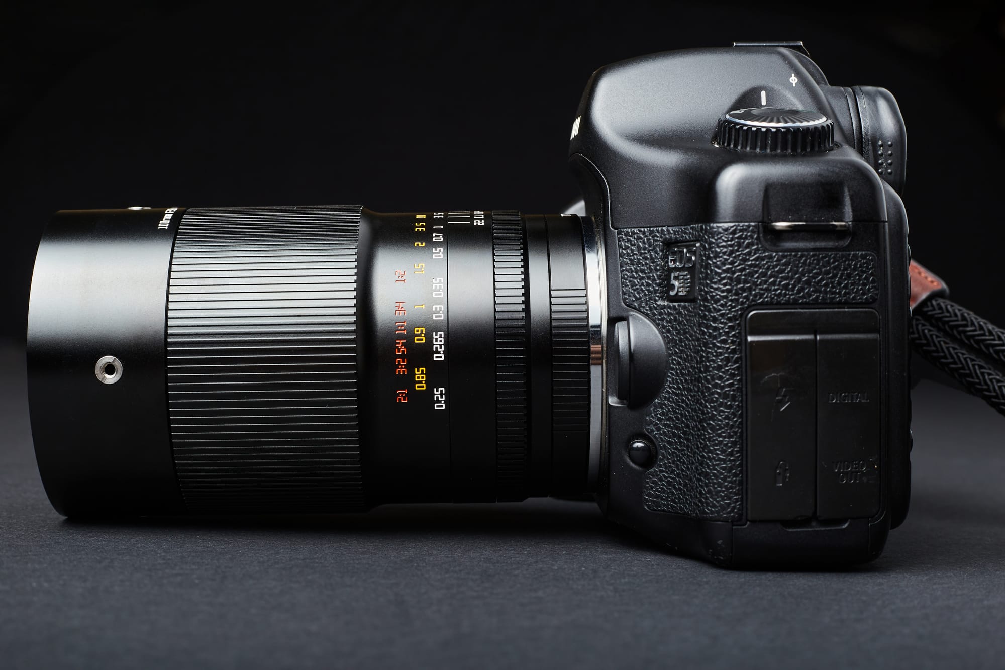 A Review Of The TTArtisan 100mm f/2.8 Macro 2X Lens