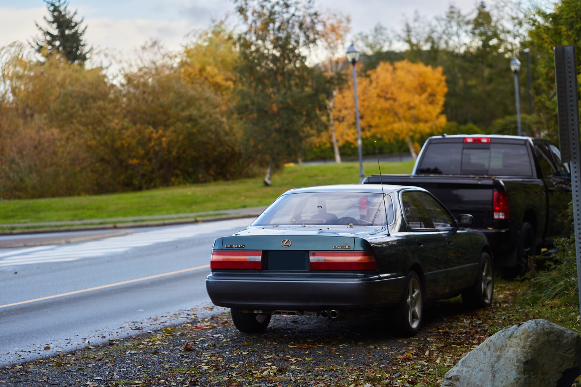 A Review Of The TTArtisan 100mm f/2.8 Macro 2X Lens